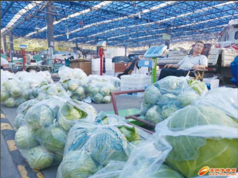 办公用品采购指南：如何提升企业运营效率